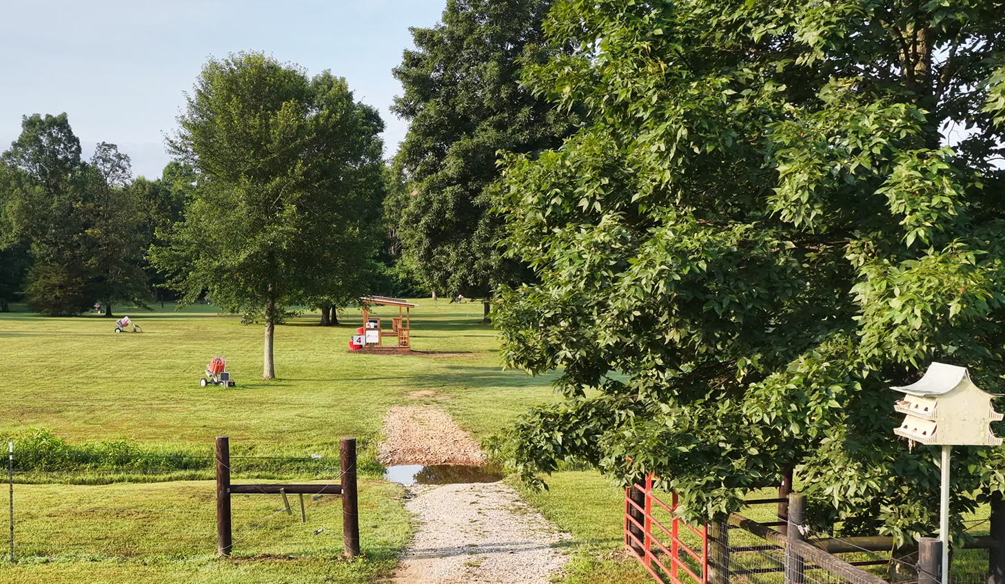 Clay shooting experience